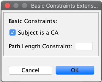 keystore explorer basic constraints extension